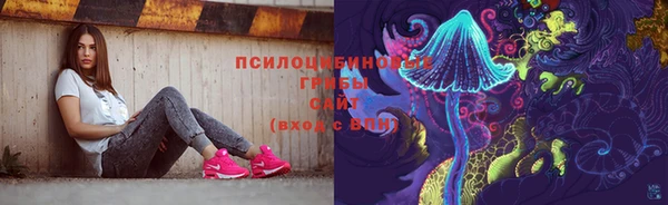 МДПВ Алексин