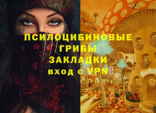 крисы Алексеевка