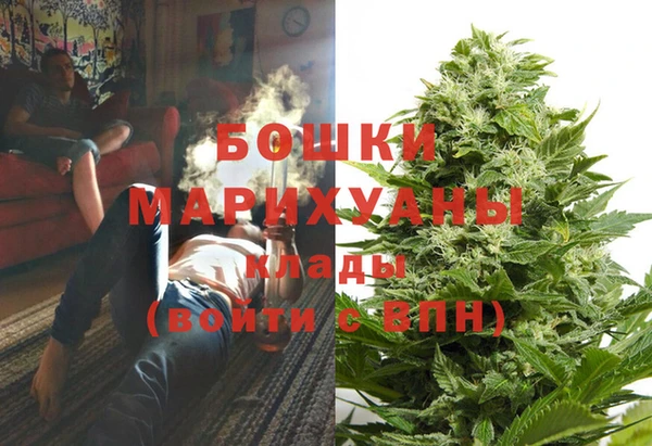 МДПВ Алексин