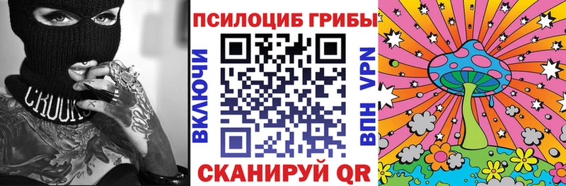 цена наркотик  Ясный  Галлюциногенные грибы MAGIC MUSHROOMS 