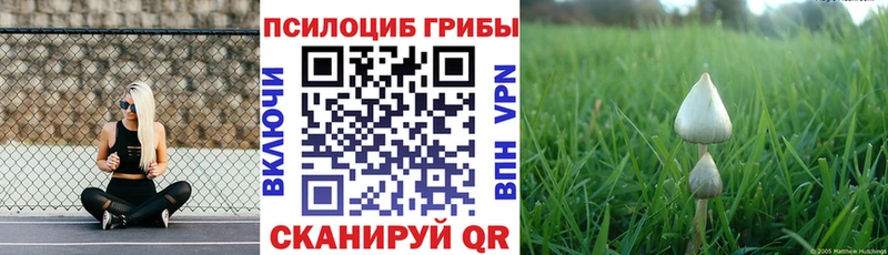 Галлюциногенные грибы мухоморы Ясный